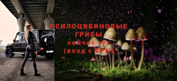дживик Медногорск