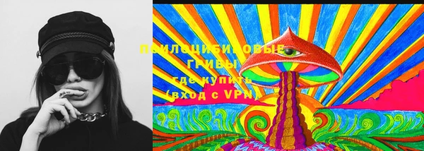 сатива Мегион