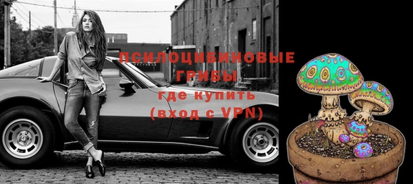 apvp Медвежьегорск