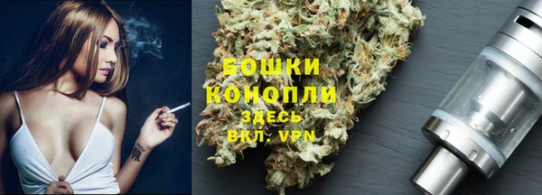 сатива Мегион